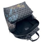 Фото рюкзака Louis Vuitton Discovery F10079