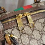 фото Сумка Gucci N10451