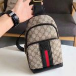 фото Сумка Gucci N10585