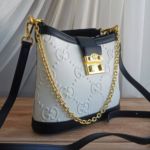 фото Сумка Gucci GG N10685