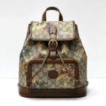 фото Рюкзак Gucci N10787