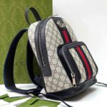 фото Рюкзак Gucci N10837