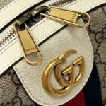 фото Рюкзак Gucci N10838