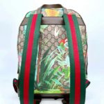 фото Рюкзак Gucci N11301