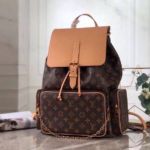 фото Рюкзак Louis Vuitton N10990