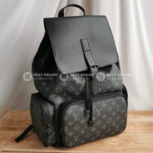 фото Рюкзак Louis Vuitton N10991