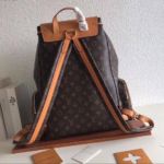 фото Рюкзак Louis Vuitton N10990