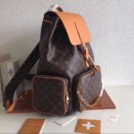 фото Рюкзак Louis Vuitton N10990