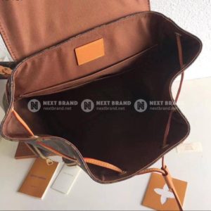 фото Рюкзак Louis Vuitton N10990