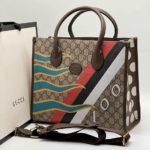 фото Сумка Gucci N11248