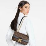 фото Сумка Louis Vuitton N12542