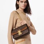 фото Сумка Louis Vuitton N12543