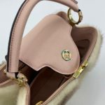 фото Сумка Louis Vuitton N12701