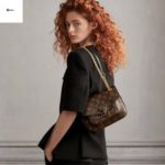 фото Сумка Louis Vuitton N13234