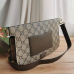 фото Сумка Gucci N12847