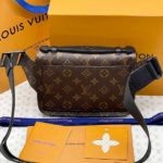 фото Сумка Louis Vuitton N13089