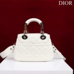 фото Сумка Dior N13341