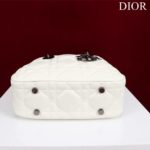 фото Сумка Dior N13341