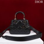 фото Сумка Dior N13342