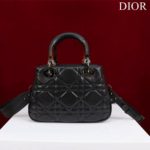 фото Сумка Dior N13342