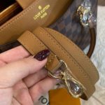 фото Сумка Louis Vuitton N13657