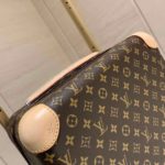 фото Чемодан Louis Vuitton N13703