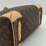 фото Сумка Louis Vuitton N14107