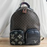 фото Рюкзак Louis Vuitton N14274