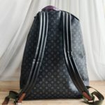 фото Рюкзак Louis Vuitton N14273