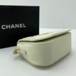 фото Сумка Chanel N14876