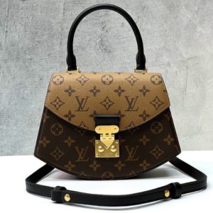 фото Сумка Louis Vuitton N15033