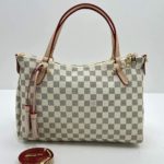 фото Сумка Louis Vuitton N15808