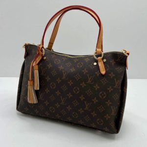 фото Сумка Louis Vuitton N15809