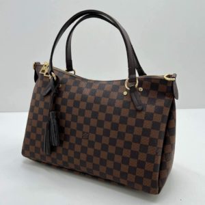 фото Сумка Louis Vuitton N15810