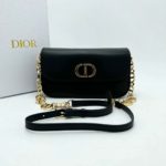 фото Сумка Dior N16100