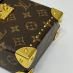 фото Сумка Louis Vuitton N16853