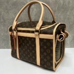 фото Сумка Louis Vuitton N17315