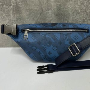 фото Сумка Louis Vuitton N17356