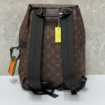 фото Рюкзак Louis Vuitton N17542