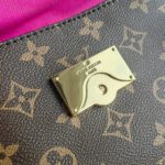 фото Сумка Louis Vuitton N17589