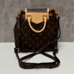 фото Рюкзак Louis Vuitton N18258