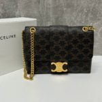 фото Сумка Celine W5005