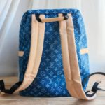 фото Рюкзак Louis Vuitton W6524