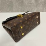 фото Сумка Louis Vuitton W5508