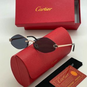 фото Очки Cartier W6133