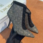 фото Ботильоны Dior W7442