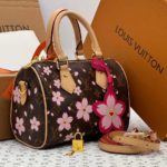 фото Сумка Louis Vuitton W8055
