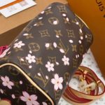фото Сумка Louis Vuitton W8055